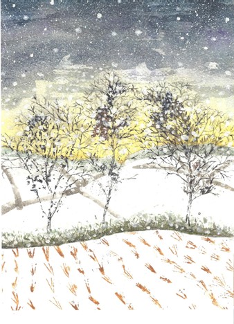 Penines in the Snow Rollover
